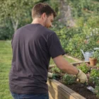 Someone in a Budget Cotton Tee Shirt tends flowers in a raised garden bed outdoors.