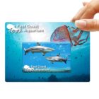 Hand holding East Coast Aquarium card with sharks and a jellyfish underwater.