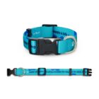 Blue adjustable dog collar with black buckle and silver D-ring, shown closed and fully extended.