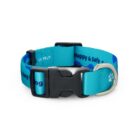 A blue adjustable dog collar with a black buckle and a metal ring.