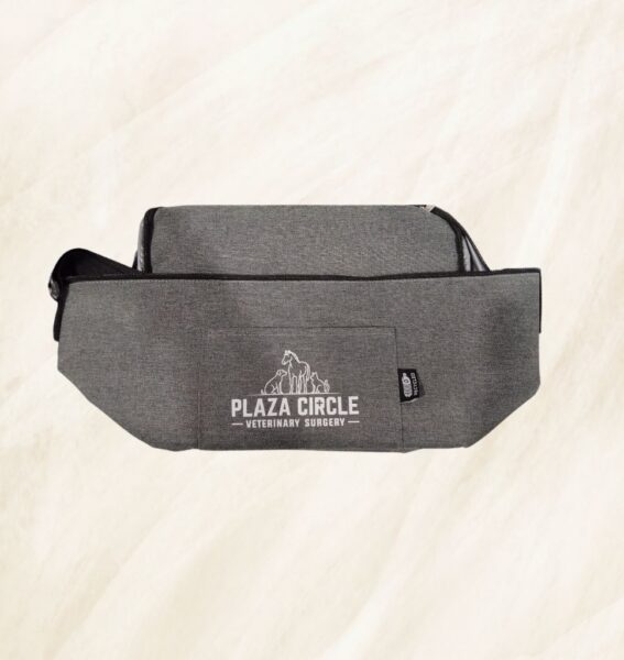 Plaza Circle Veterinary Surgery in Brisbane