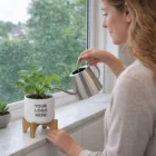 Woman watering a plant in Meadow With Bamboo Bases pot by a window.