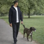 Man in a Canvas Bomber Hood Jacket walking a brown dog on a leash in a tree-filled park.