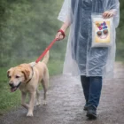 Person walking a dog on a leash, holding Lightweight Ponchos.