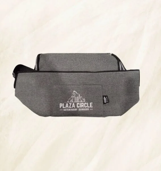 Plaza Circle Veterinary Surgery in Brisbane