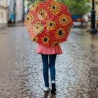 Person with a red patterned umbrella walks on a wet, cobblestone street.
