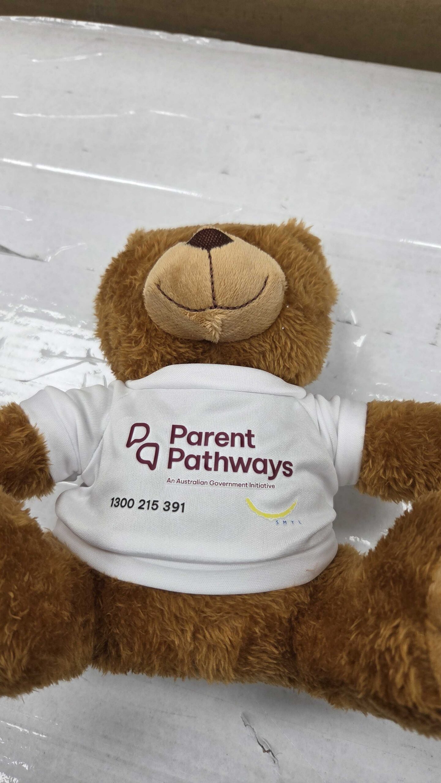 Brown teddy bear in a Parent Pathways t-shirt, looking like a satisfied client of SMYL.