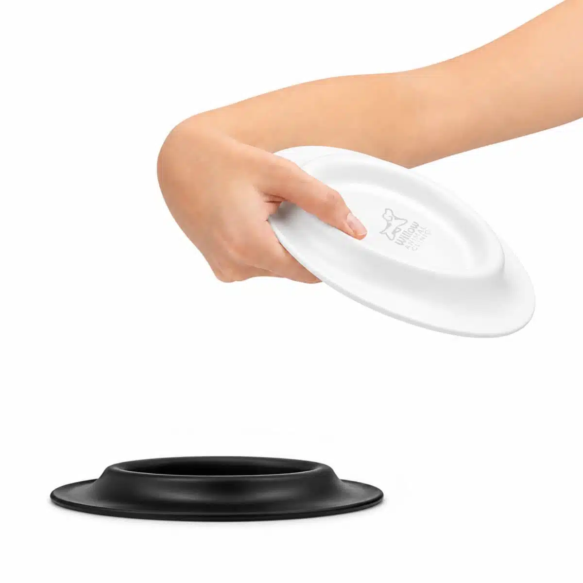 Daunty Pet Bowls