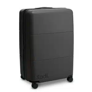 Voya Check-In Cases L