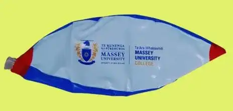 Custom printed promotional beach ball supplied for a university campaign