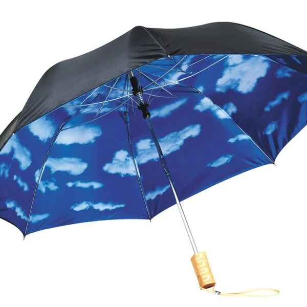 Black umbrella with a blue sky and white clouds pattern on the inside.